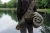 15.webp