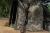 16.webp