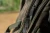 20.webp
