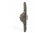 1.webp