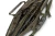 5.webp