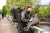 15.webp
