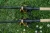 21.webp