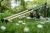 23.webp
