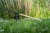 25.webp