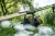 22.webp