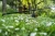 20.webp