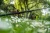 24.webp