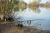 21.webp
