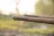 24.webp