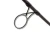 8.webp