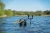20.webp