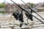 21.webp