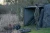 16.webp