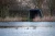 17.webp