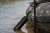 3.webp