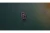 9.webp