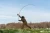 22.webp