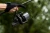 22.webp