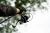 25.webp