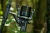 20.webp