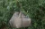 21.webp