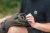 26.webp