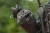 28.webp
