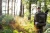 26.webp