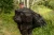 13.webp
