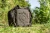 15.webp
