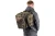 18.webp