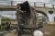 22.webp