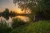 27.webp