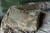 20.webp