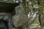 21.webp