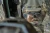 24.webp