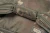 7,5.webp