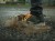 Delphin Ixtera RIVEZ Wodoodporne Buty Outdoorowe 44 8585066518178 101006058 Karpiowe Graty - Zdjęcie 1