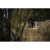 12.webp