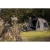 13.webp