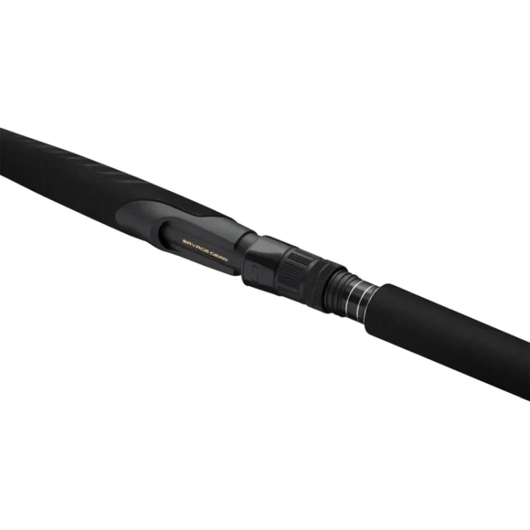 3.webp