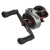 2.webp