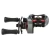 5.webp