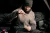 4.webp
