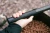 12.webp