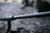 16.webp