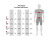 13.png
