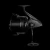 18.webp