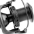 5.webp